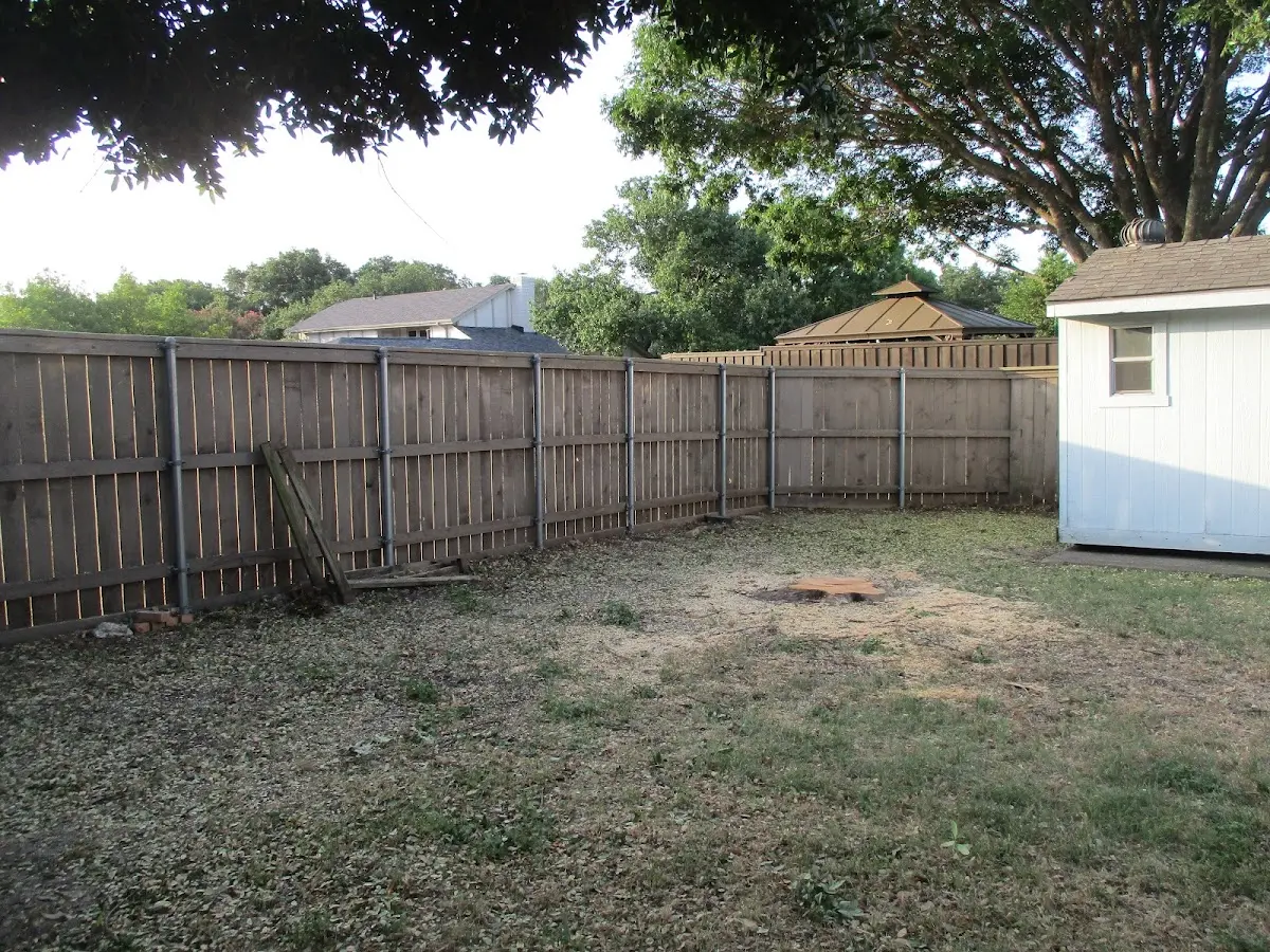 Cleared yard after professional tree removal in Gagetown